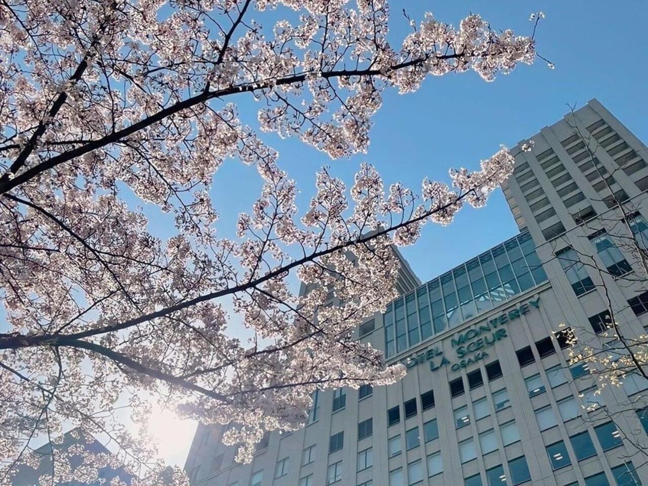 Hotel Monterey La Soeur Osaka Exterior foto